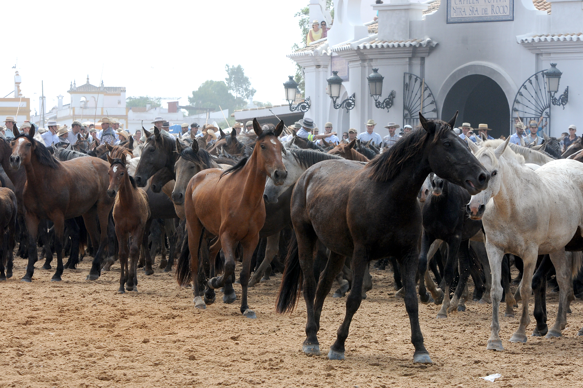 Rideferie Spanien