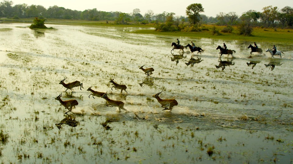 Rideferie Botswana