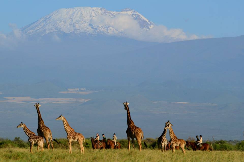 Ridesafari Tanzania