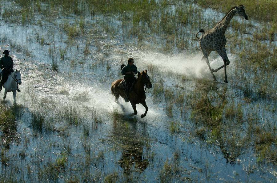 Ridesafari Okavango Delta Botswana