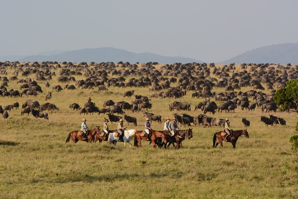 Rideferie Kenya