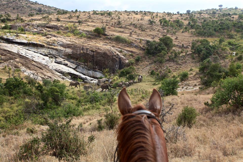 Rideferie Kenya