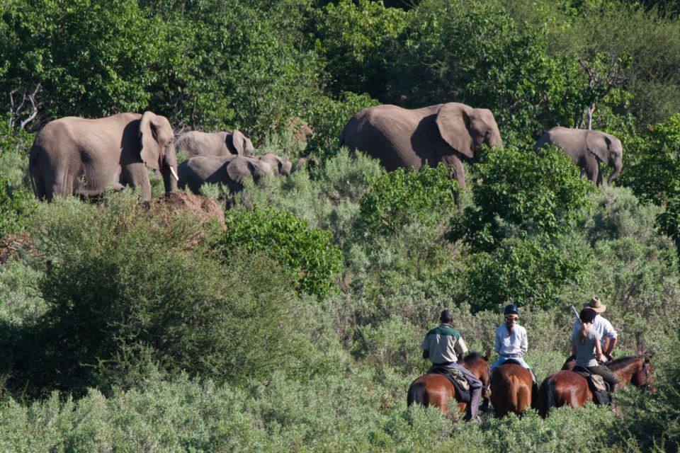 Rideferie Botswana