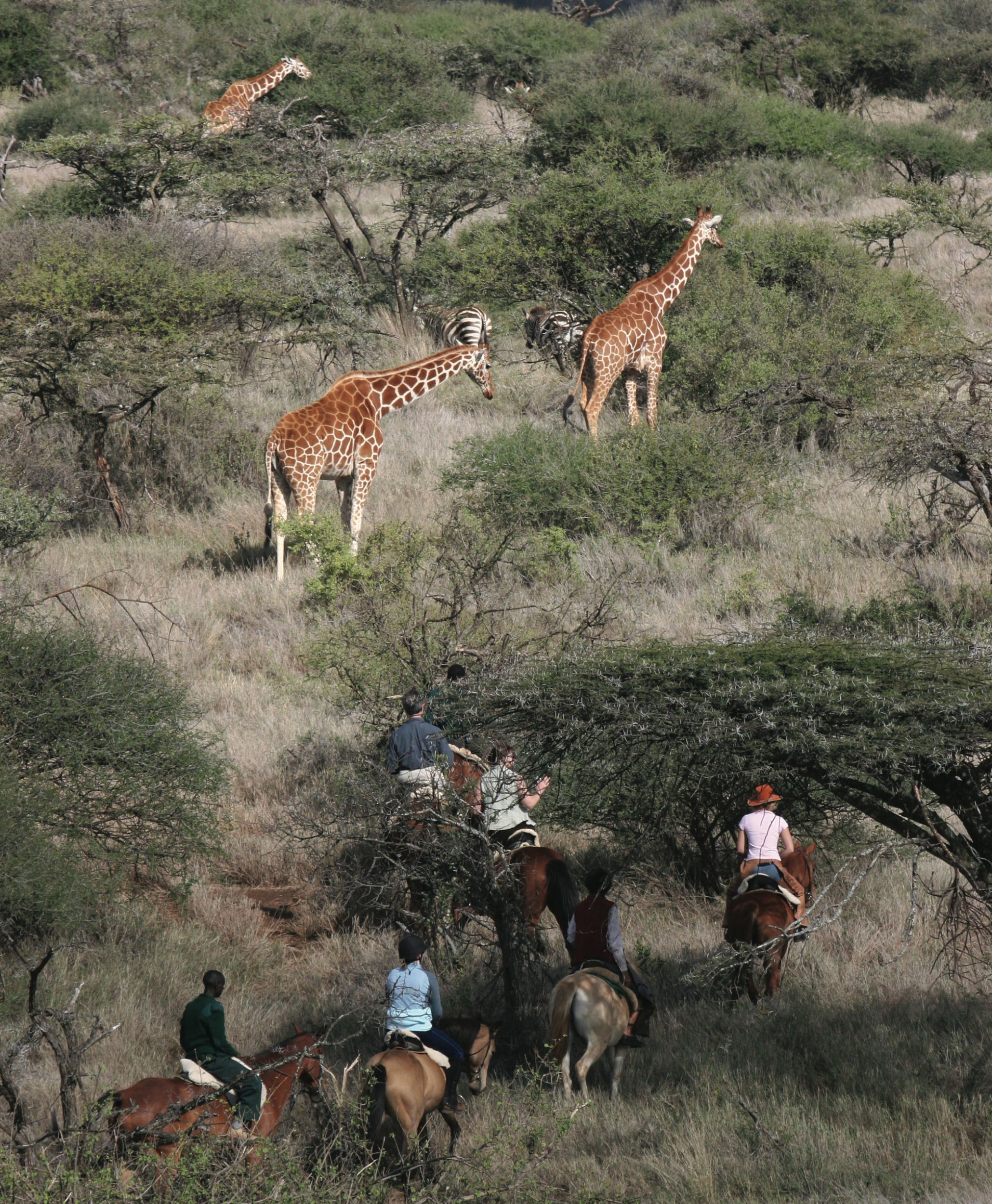 Rideferie Kenya