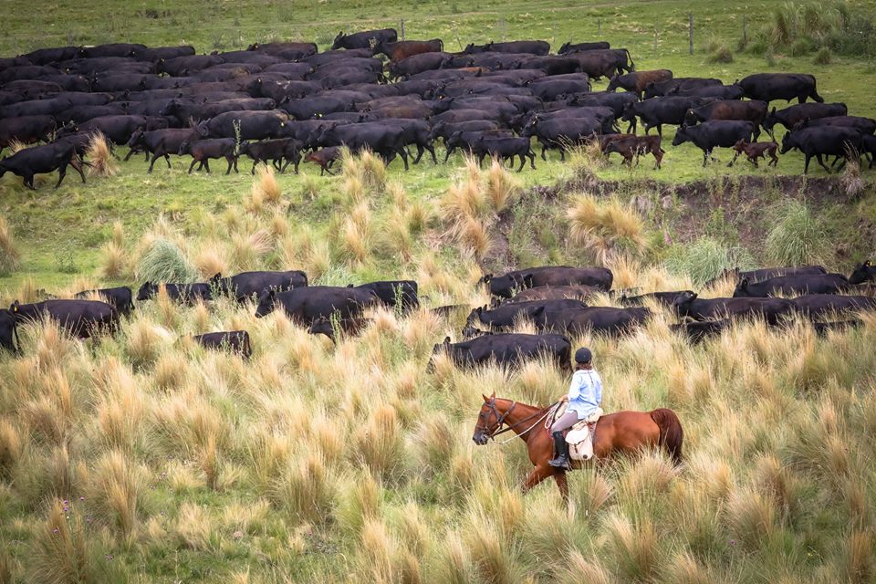 Ranchferie Argentina