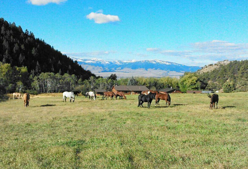 Ranchferie Montana USA