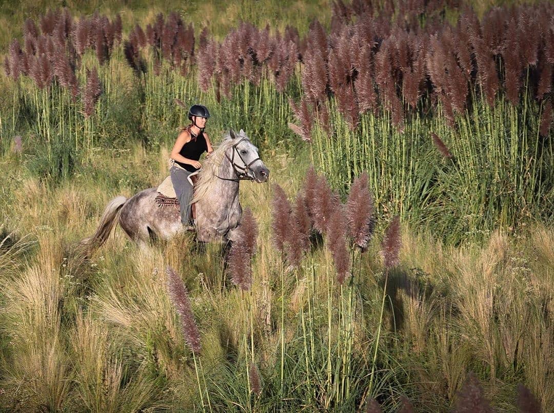 Rideferie Argentina