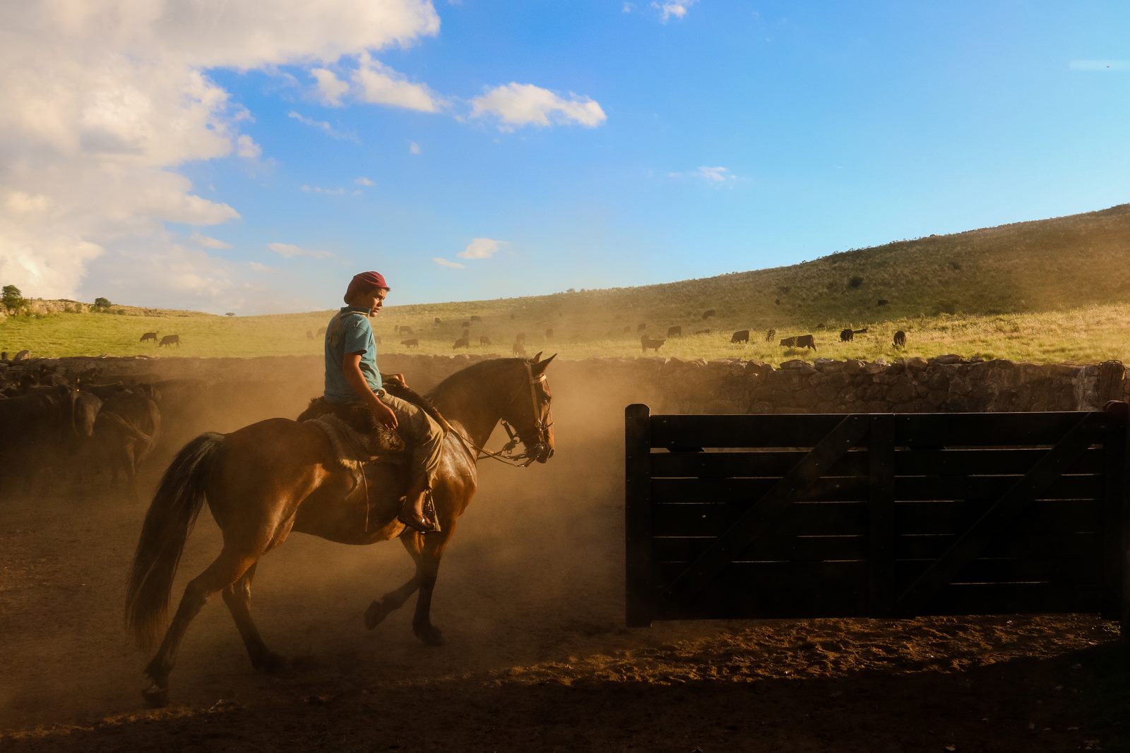 Rideferie Argentina