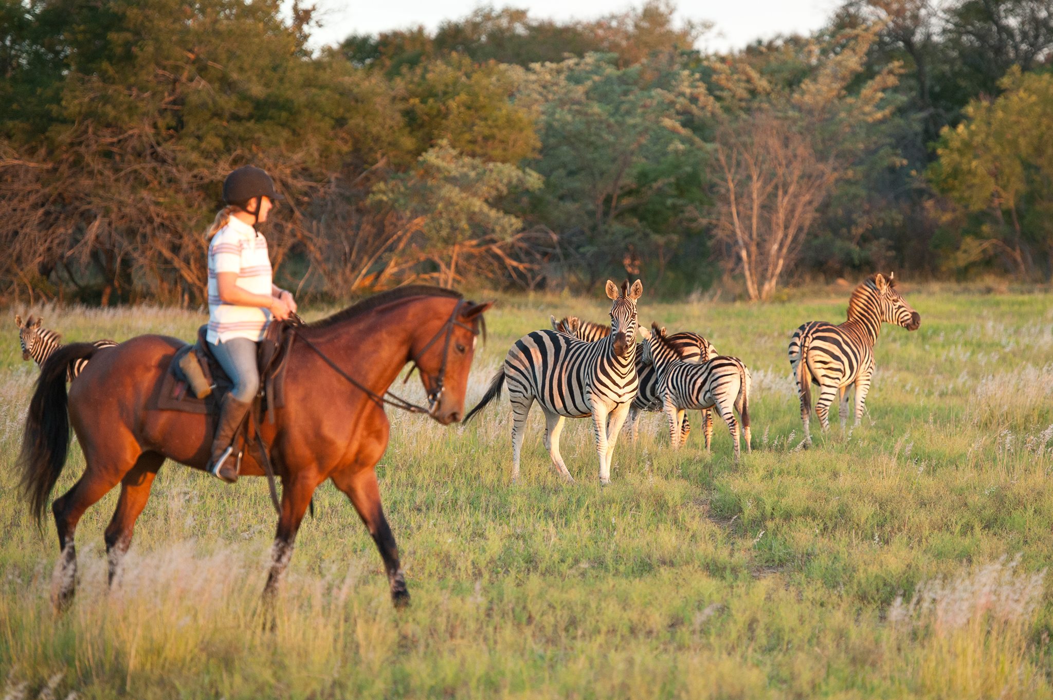 Rideferie Sydafrika