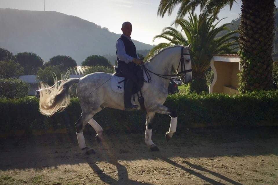 Rideferie Lusitano Portugal