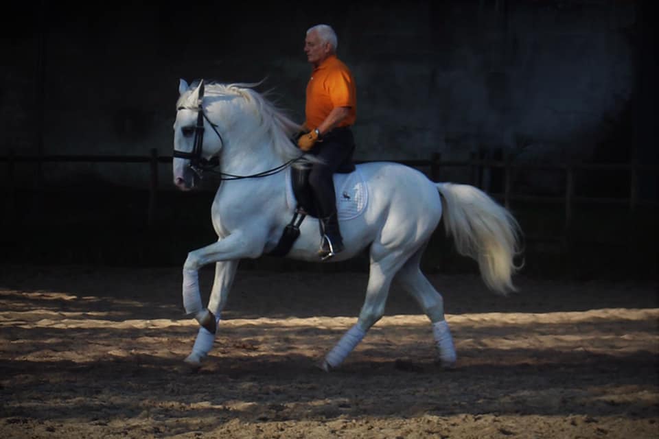 Rideferie Lusitano Portugal