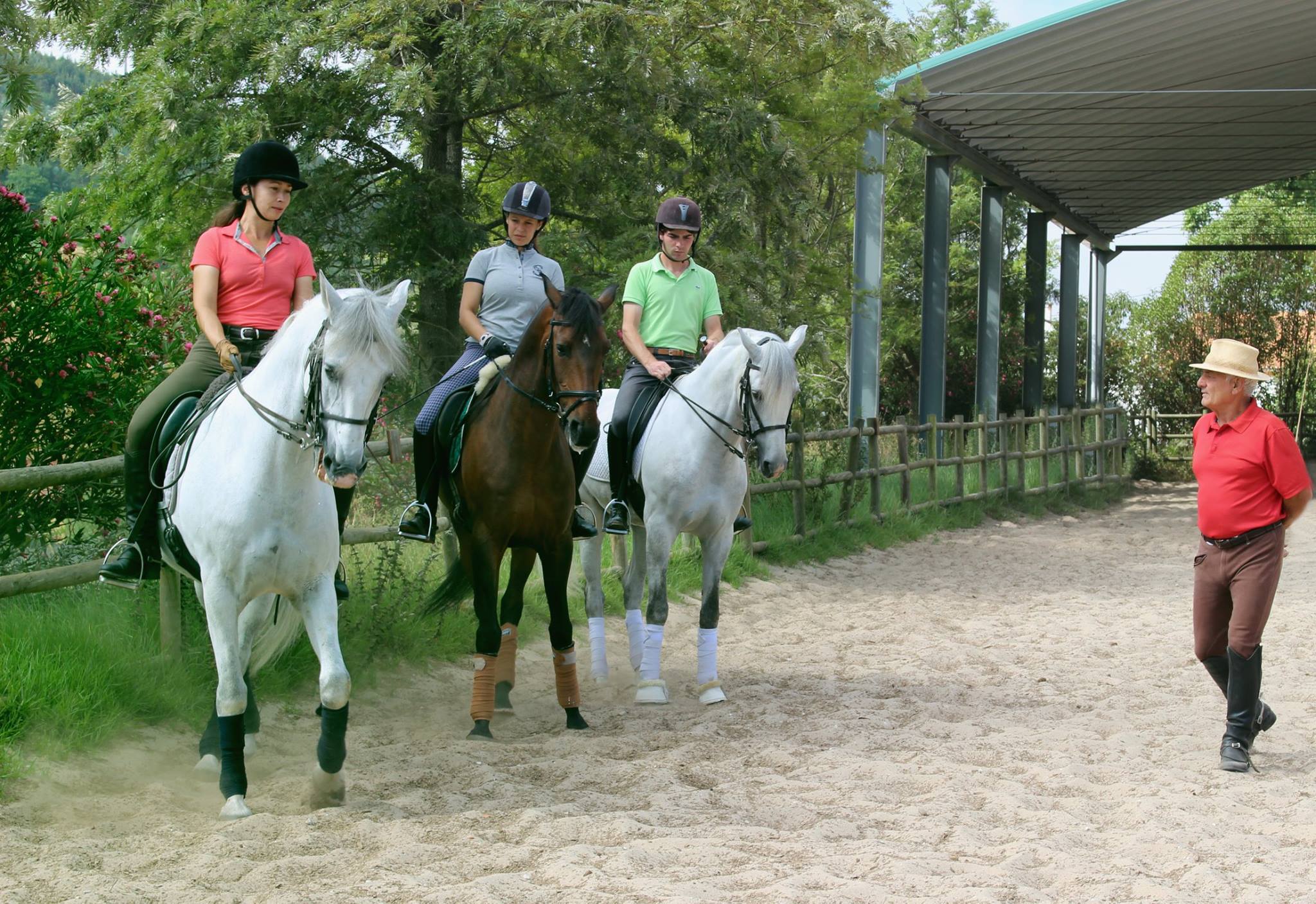 Rideferie Lusitano Portugal