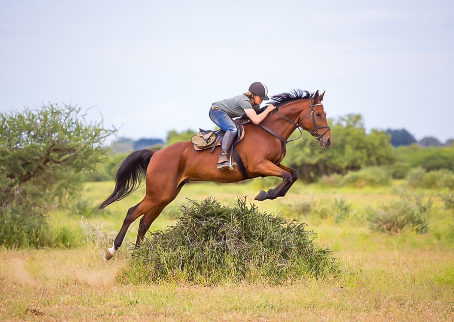 Rideferie Botswana