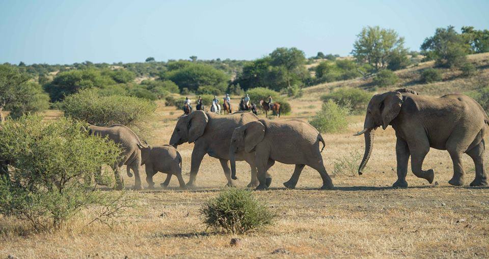 Rideferie Botswana