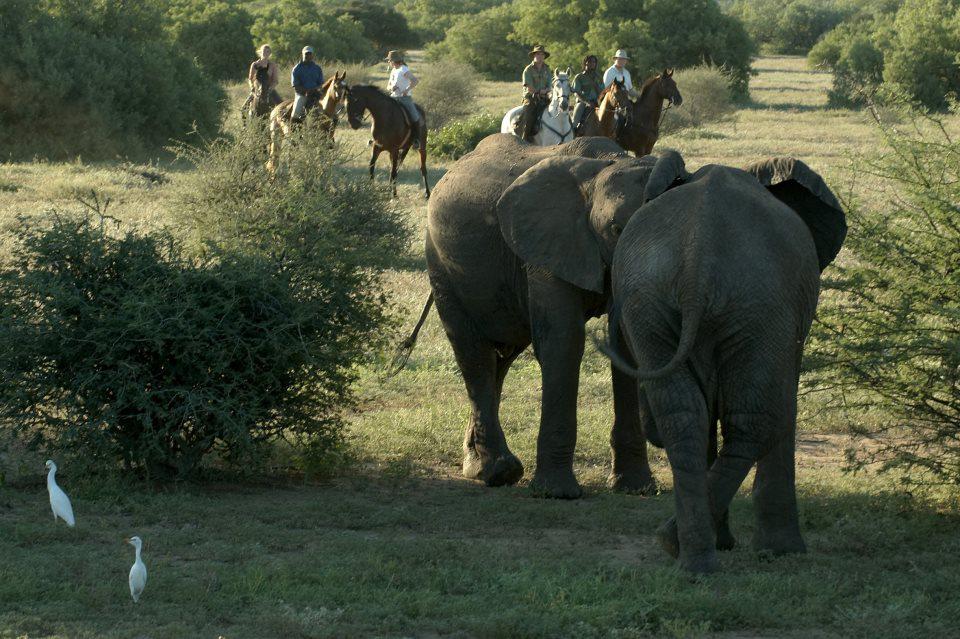 Rideferie Botswana