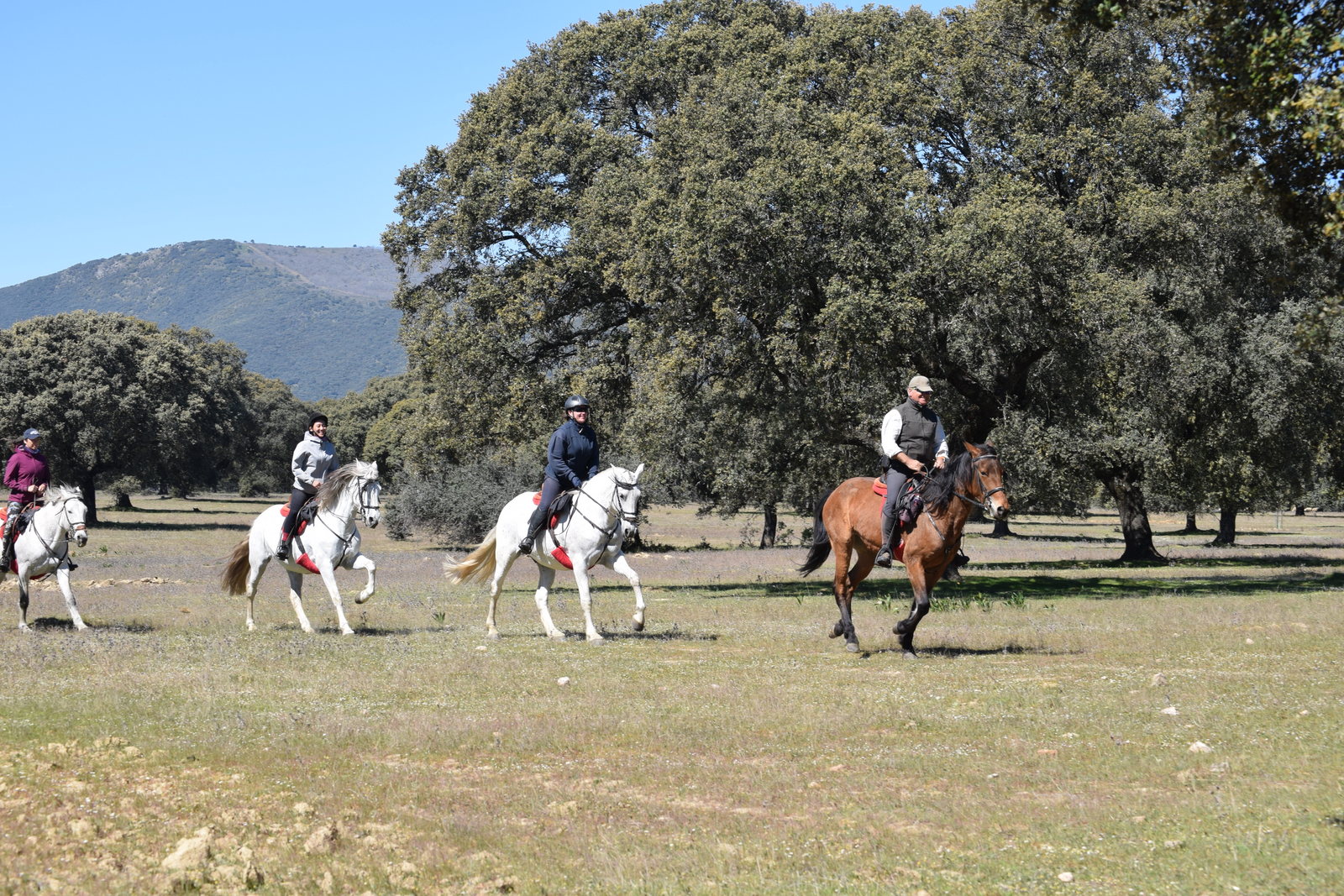 Rideferie Spanien