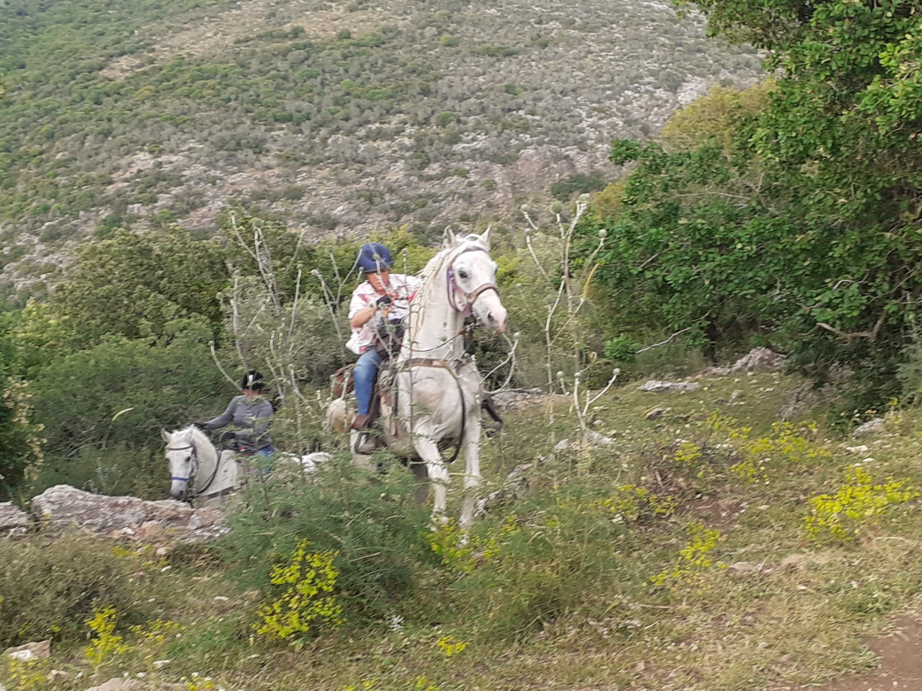 Rideferie Israel