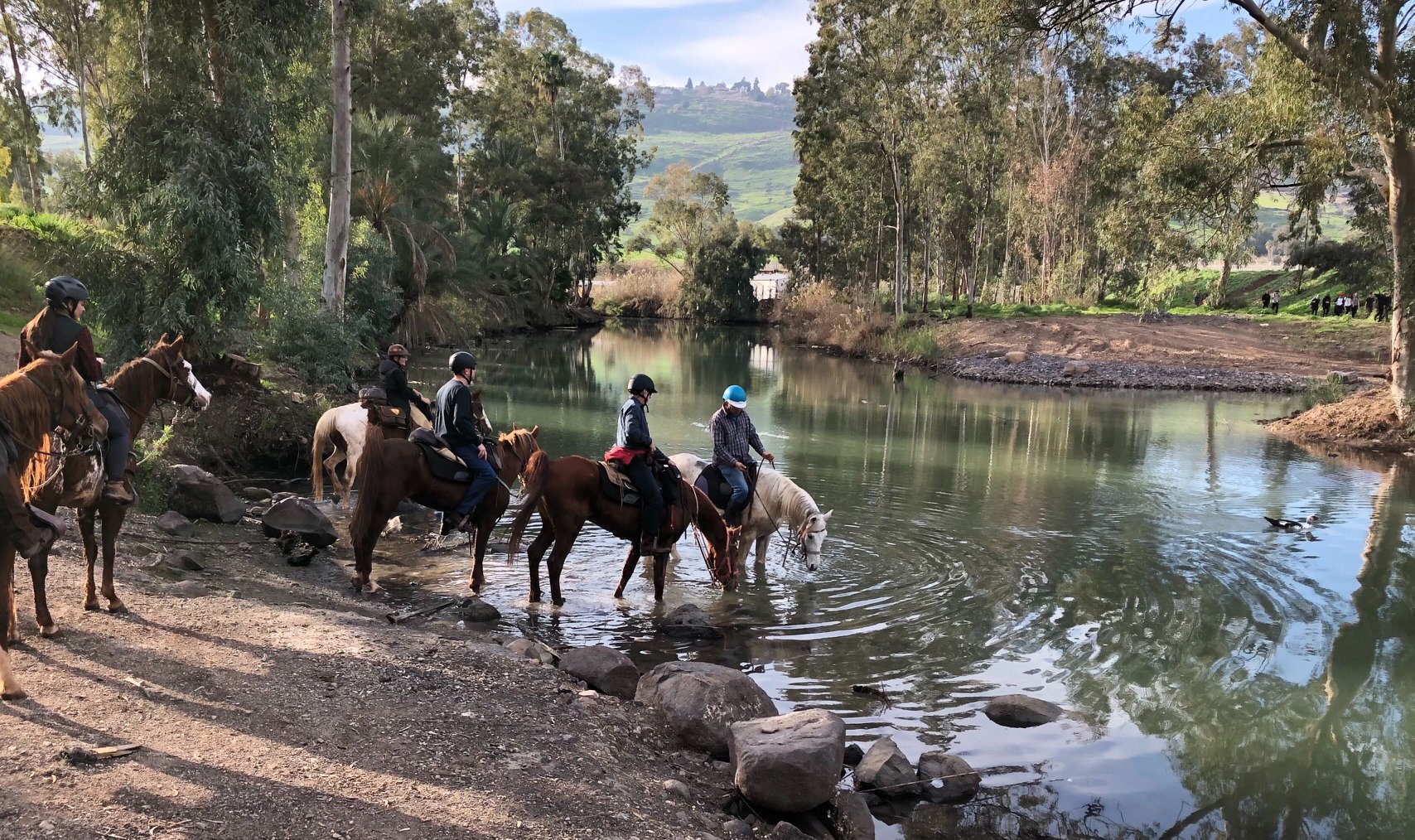 Rideferie Israel