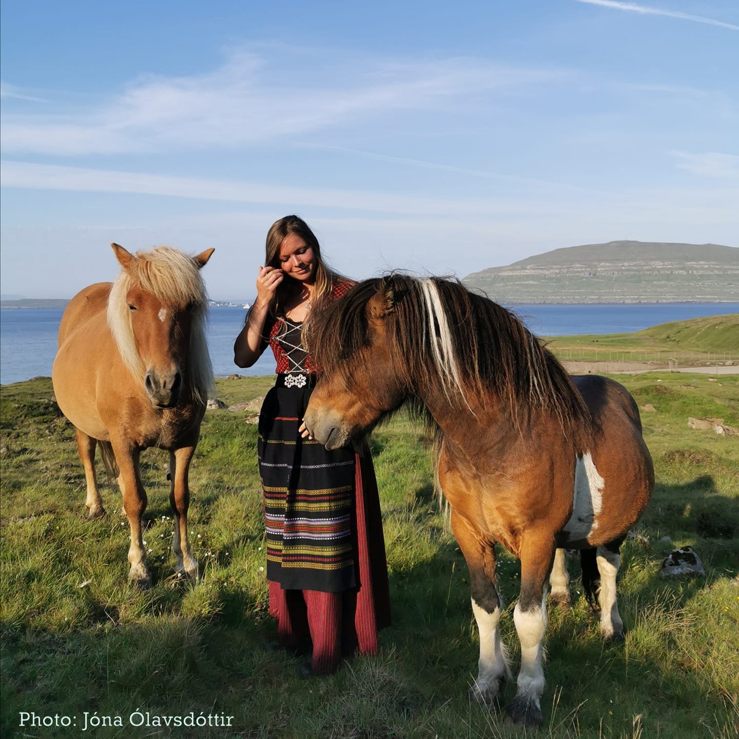 Færøsk hest