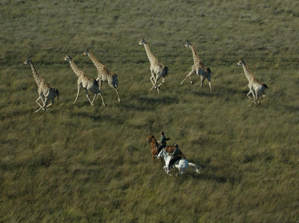 Ridesafari Okavango Delta