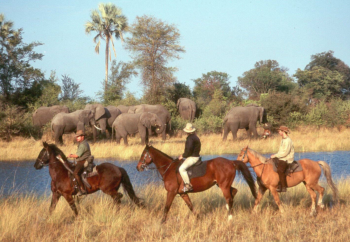 Ridesafari Okavango Delta