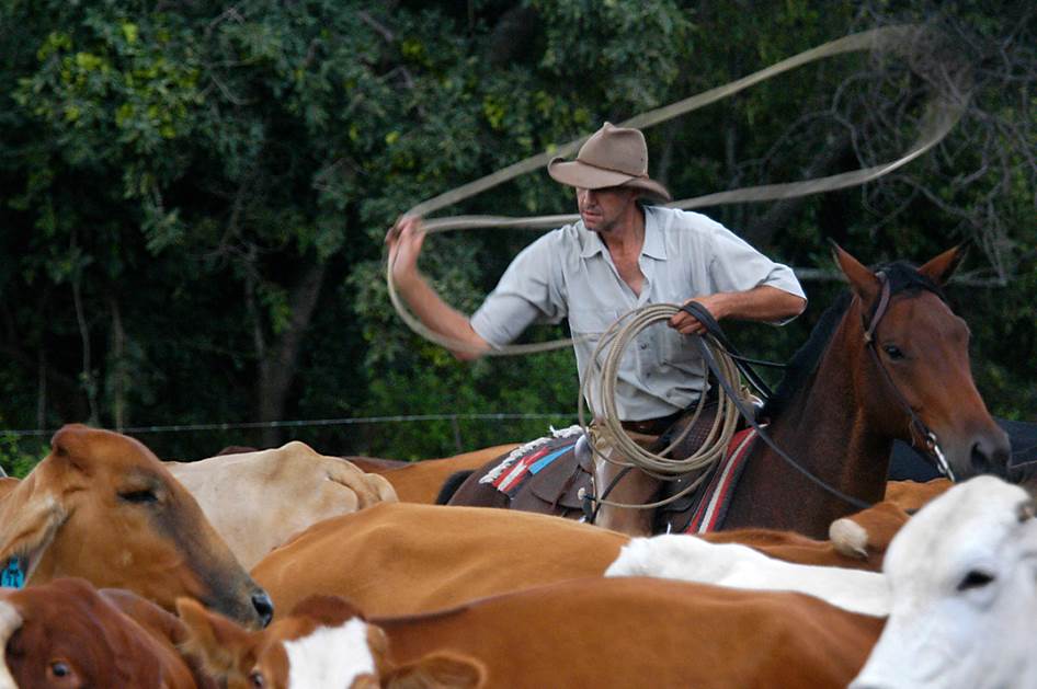 Rideferie Sydafrika