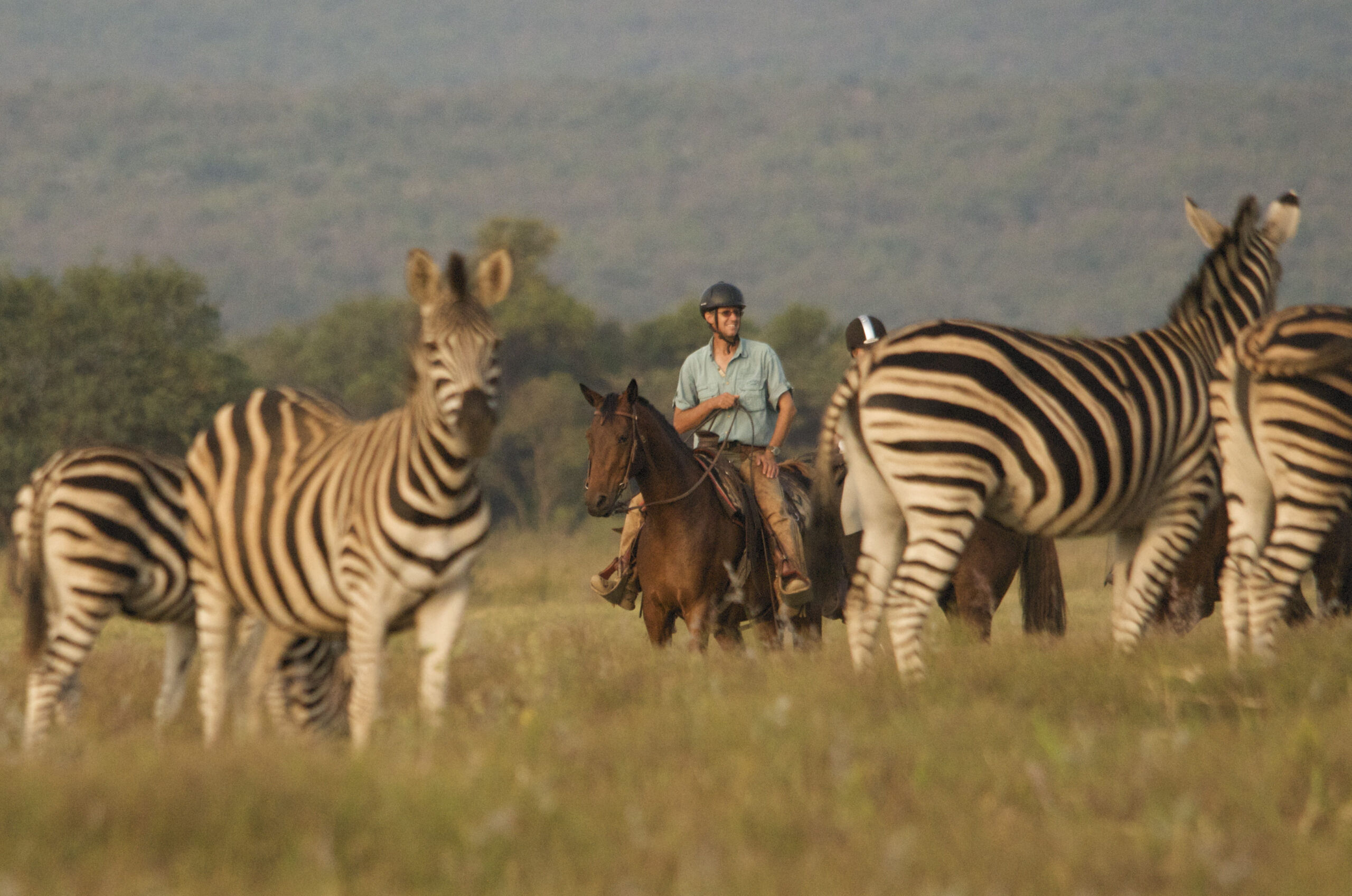 Rideferie Sydafrika