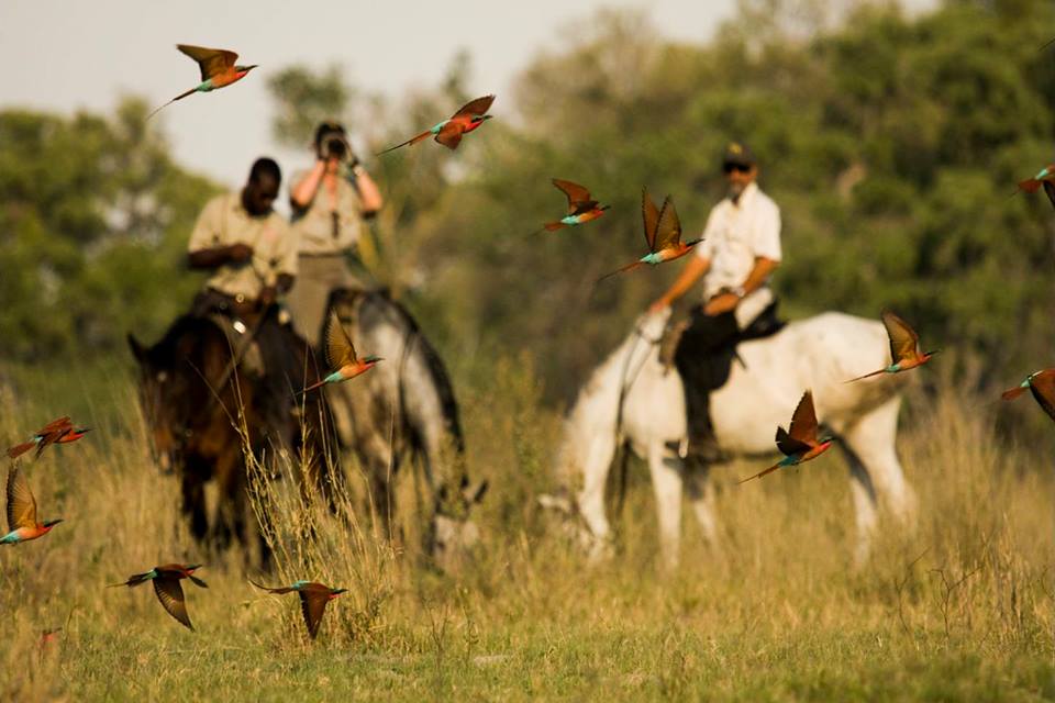 Rideferie Botswana