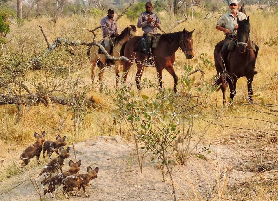 Rideferie Botswana