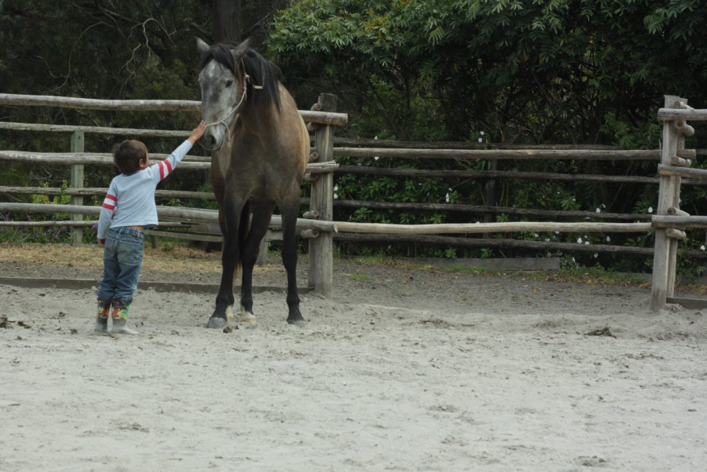 Rideferie Ecuador