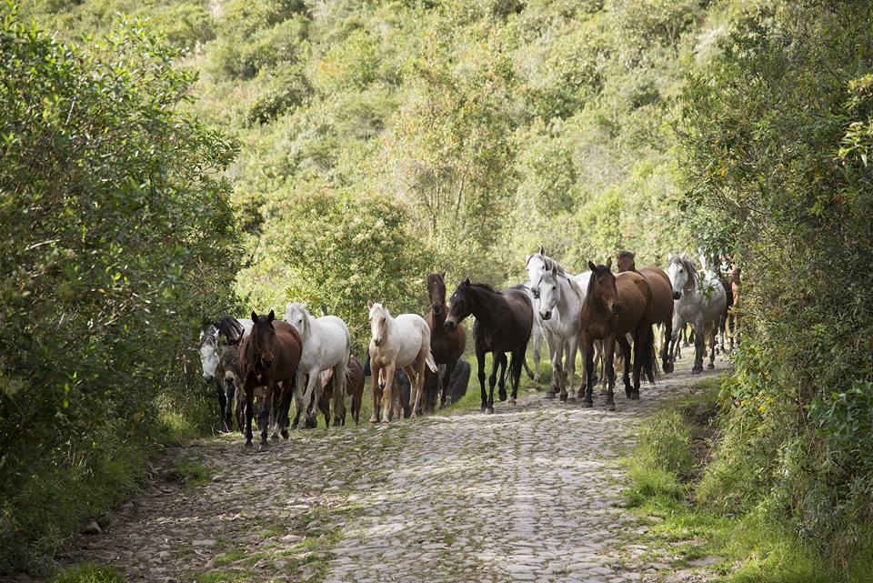 Rideferie Ecuador