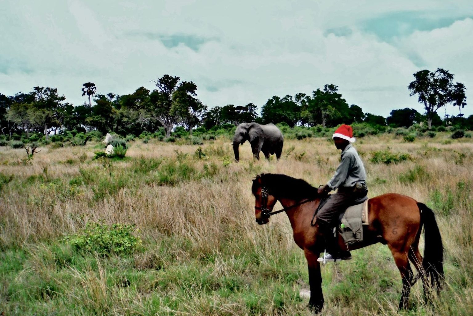 Rideferie Botswana