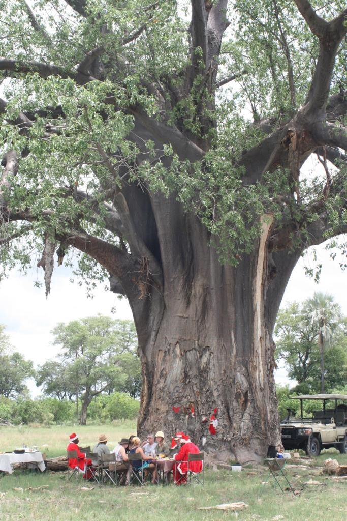 Rideferie Botswana