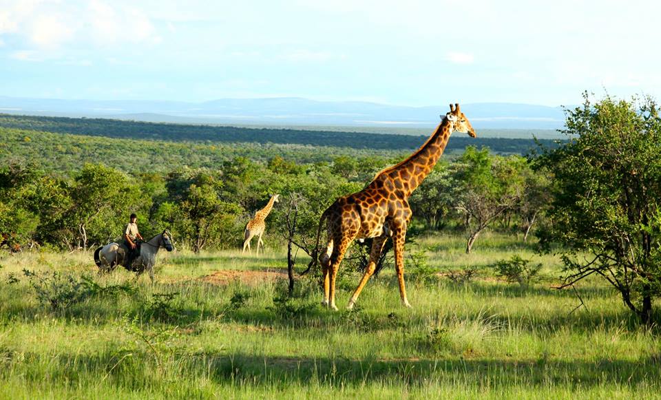 Rideferie Botswana