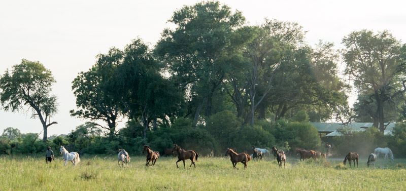 Rideferie Botswana