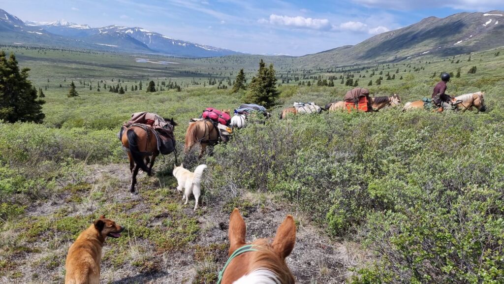 Rideferie Canada