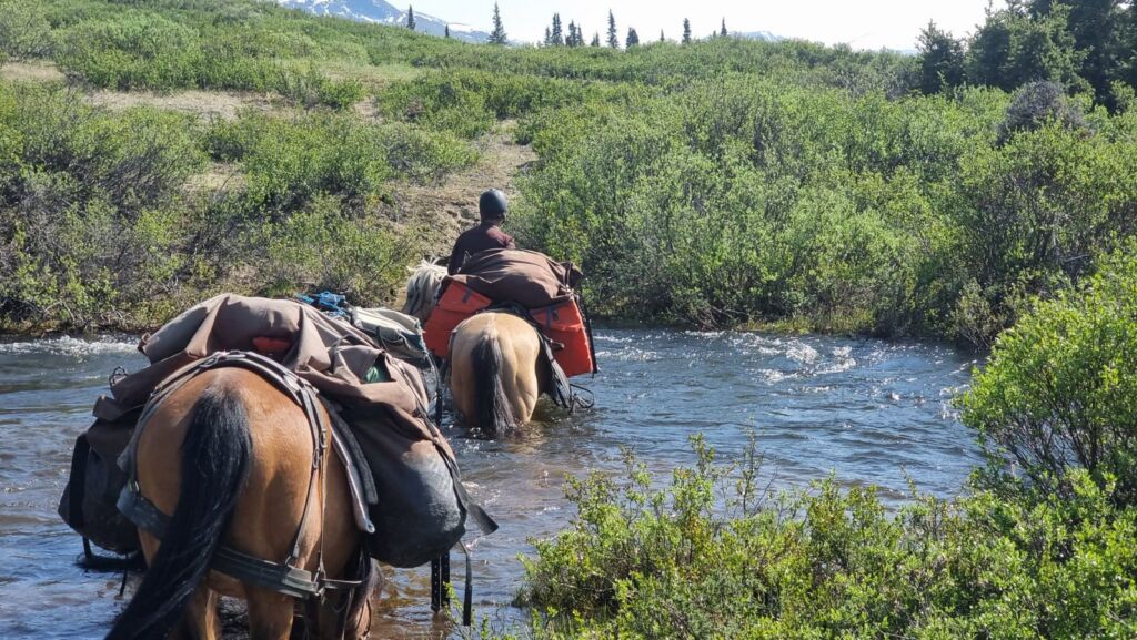 Rideferie Canada