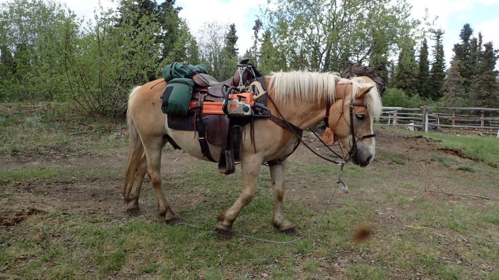 Rideferie Canada