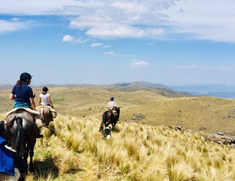 Rideferie Argentina