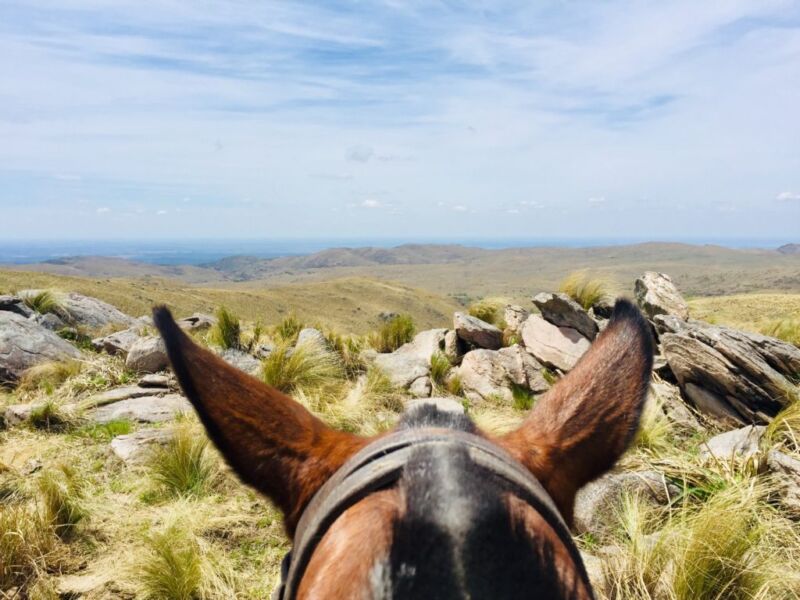 Rideferie Argentina