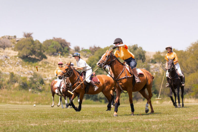 Poloferie Argentina