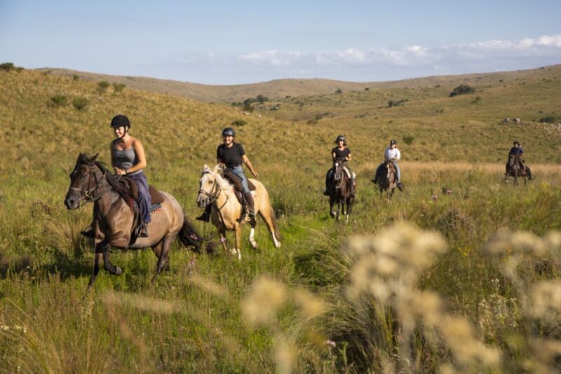 Rideferie Argentina