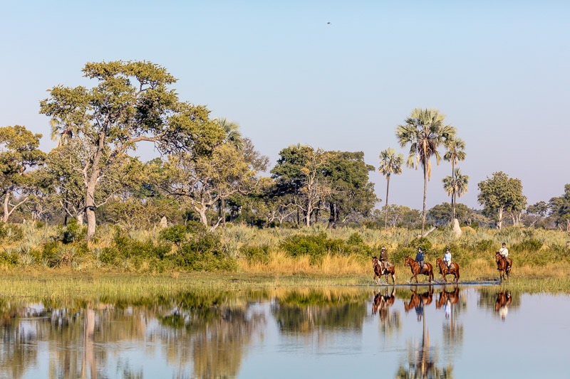 Rideferie Afrika