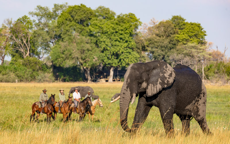 Rideferie Afrika