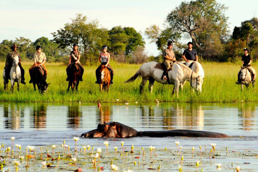 Rideferie Afrika