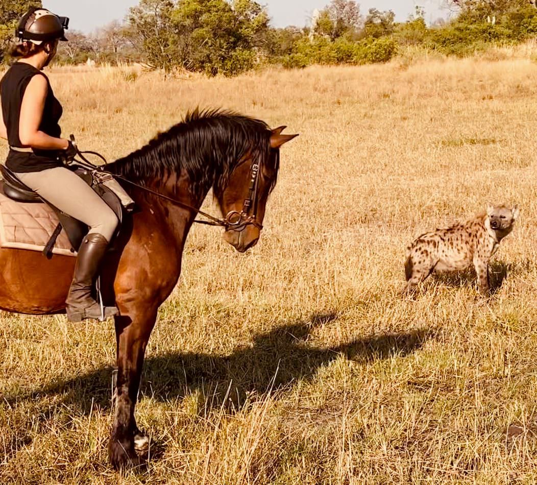 Rideferie Afrika