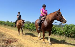 Rideferie Italien