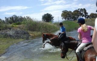 Rideferie Sydafrika