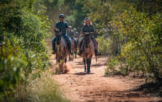 Ridesafari Sydafrika