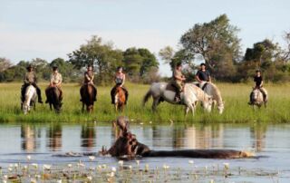 Rideferie Afrika